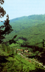 Vývoj lesního hospodářství