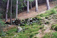 Jarní procházka , například po úzkokolejce