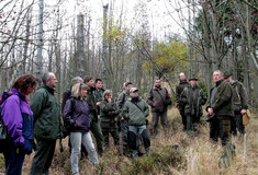 Jeřáb – dřevina roku 2013