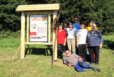 Moravský sladkoplodý jeřáb v r. 2013