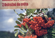 Moravský sladkoplodý jeřáb