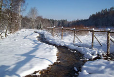 Revitalizace LP č. 9 Jindřichovického potoka