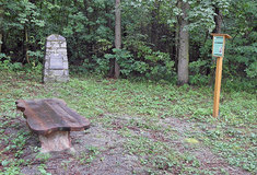 Julius Wiehl – významný český lesník