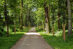 Lesy ČR úspěšně dokončily projekt „Regenerace Národní kulturní památky Kačina – část Obora“