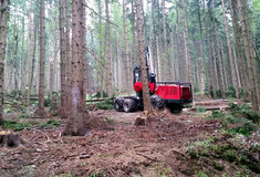 Vítr poničil ve státních lesích 214 tisíc metrů krychlových dříví