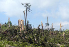 Kalamitní škody se stále odstraňují