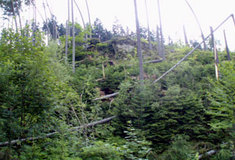 Léto na Zlínsku z pohledu lesníka