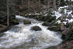 Revír Maleč v srdci Železných hor