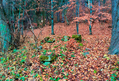 Lesy ČR obnovily Flaschnerovu kapli v Hroznětíně, vysvětí ji plzeňský biskup Tomáš Holub