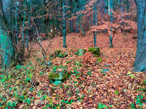 Na snímku vlevo – listopad 2014