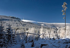 Zvěř a les aneb myslivci a lesníci – stále aktuální téma nejen na lesní správě Karlovice