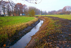 Úprava drobných toků v areálu kladrubského hřebčína stojí Lesy ČR v posledních pěti letech bezmála tři miliony korun