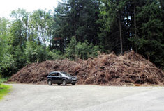 Využití klestu pro výrobu energie