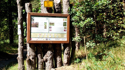 Klokočským lesem za hrou, vodou a ptačím zpěvem