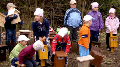Klokočským lesem za hrou, vodou a ptačím zpěvem