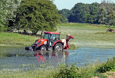 Komáři – fenomén lužních lesů