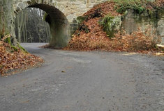 Dobrá zpráva nejen pro svatebčany: Lesní komunikace na hrad Valdštejn v Českém ráji je opět otevřena