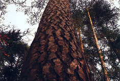 Nové odborné publikace a knihy – únor 2011