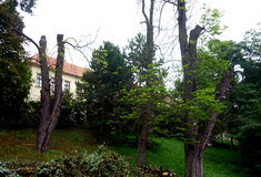 Krajinná památková zóna – Náměšťsko dostává novou tvář