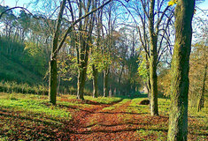 Krajinné prvky na lesní správě Strážnice