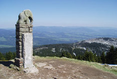 Představujeme Národní přírodní rezervaci Králický Sněžník