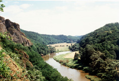 Lesnický park Křivoklátsko