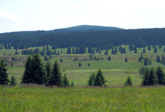 Krušnohorské plato – evropsky významná lokalita Lesní správy Kraslice