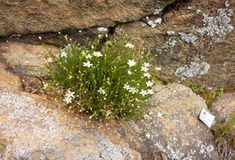 Světový unikát nedaleko Dolních Kralovic
