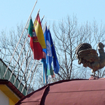 legendarni-libverdsky-kohout-800