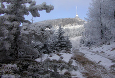 Bez lesních cest se neobejdeme