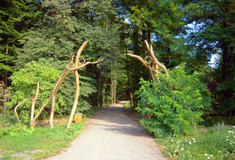 Lesní park Klimkovice