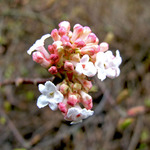 lesni_pedagogika-005