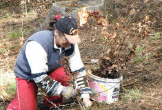 Podnik Lesy ČR vytvořil pro lidi evidované na úřadech práce 178 sezónních pracovních míst