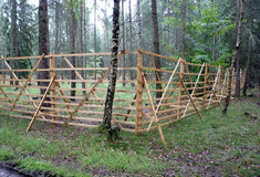 Lesníci na Křivoklátsku mění druhovou skladbu tamějších jehličnatých lesů