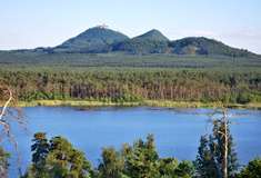 Lesnický park Bezděz je příkladem trvale udržitelného hospodaření v lesích