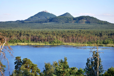 lesnicky park Bezdez