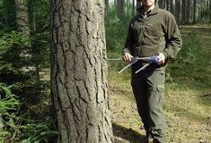 Výzva pro studenty a absolventy lesnických škol