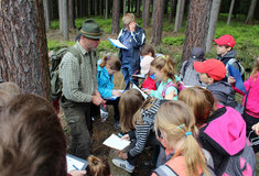 Česká lesní pedagogika: Vycházku do lesa audiovizuální technika nenahradí