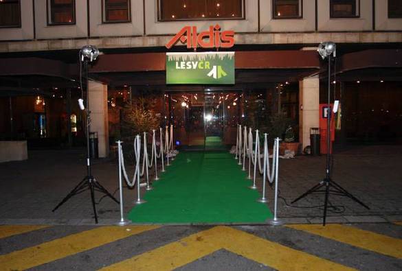 16. LESNICKÝ REPREZENTAČNÍ PLES