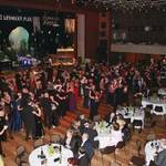 lesy-cr-ples-2012-066