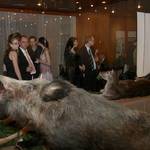 lesy-cr-ples-2012-079