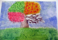 Vyhodnocení Krajského kola 5. ročníku výtvarné soutěže LESY A PŘÍRODA KOLEM NÁS