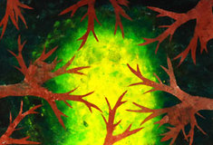 Lesy ČR ve spolupráci s Krajskou knihovnou Karlovy Vary podruhé ocenily mladé umělce