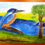 Přírodopis 7 pro základní školy a víceletá gymnázia