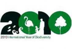 Lesy ČR aktivně podporují význam Mezinárodního roku biodiverzity