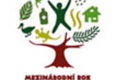 Co pamatuje strom a co lidé zapomněli?