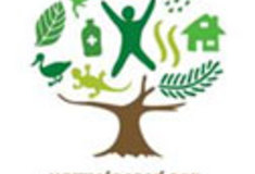 Vánoční dárek Lesů ČR: