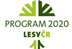 Díky pomoci Lesů ČR získá Stará Ves na Bruntálsku s novým školním rokem dětské hřiště a opravený pomník