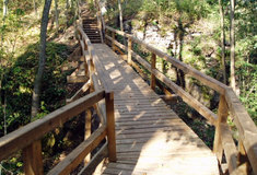 Ke zřícenině hradu Lopata na Plzeňsku je díky Lesům ČR přístup po nově opravené lávce