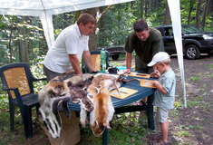 Lesnický den v Panském lomě